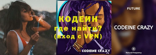 прущие крисы Няндома