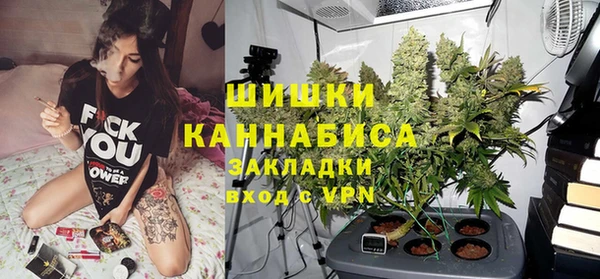 стаф Щигры