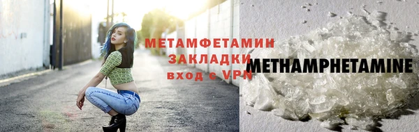гидра Кохма