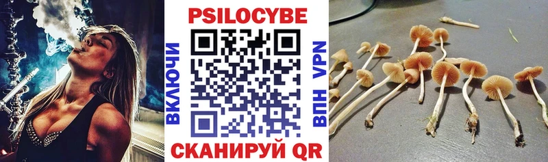 Псилоцибиновые грибы Magic Shrooms  где можно купить   Петухово 