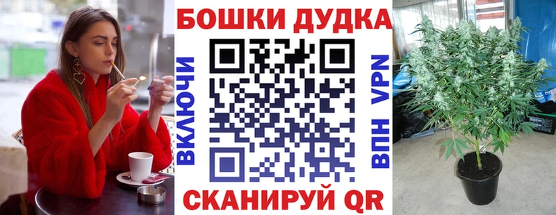 продажа наркотиков  Петухово  Конопля сатива 